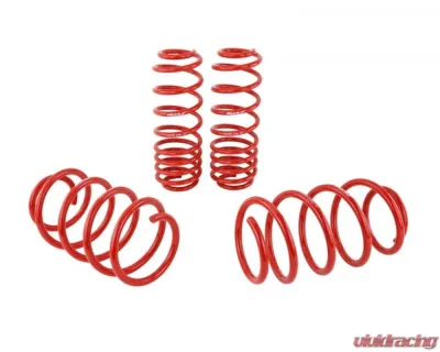 Skunk2 Lowering Springs - 519-05-1590