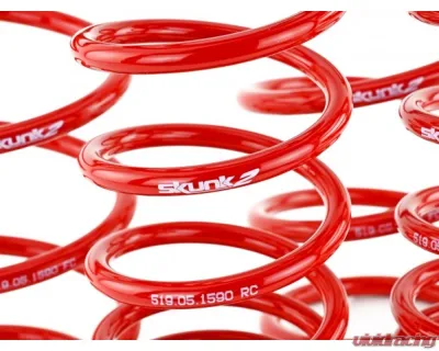 Skunk2 Lowering Springs - 519-05-1590