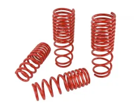 Skunk2 Lowering Springs