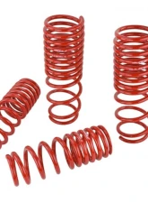 Skunk2 Lowering Springs                                     - 519-05-1630 - Image 6