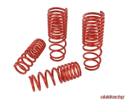 Skunk2 Lowering Springs - 519-05-1630