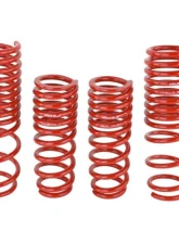 Skunk2 Lowering Springs                                     - 519-05-1630 - Image 2