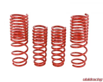 Skunk2 Lowering Springs - 519-05-1630