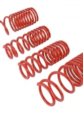 Skunk2 Lowering Springs                                     - 519-05-1630 - Image 3