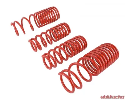Skunk2 Lowering Springs - 519-05-1630