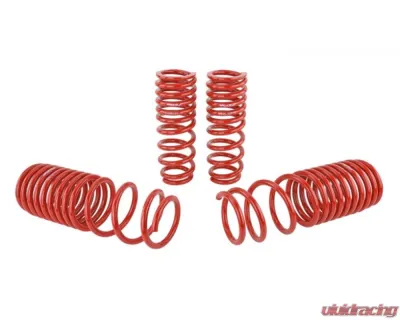 Skunk2 Lowering Springs - 519-05-1630