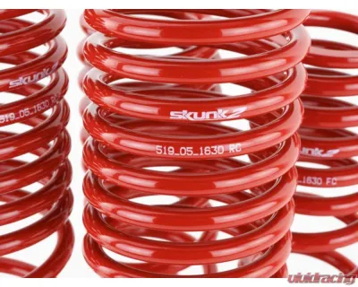 Skunk2 Lowering Springs - 519-05-1630