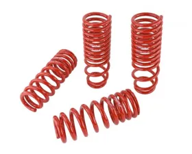 Skunk2 Lowering Springs Acura Integra 1990-1993