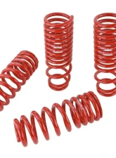 Skunk2 Lowering Springs                                     - 519-05-1640 - Image 6