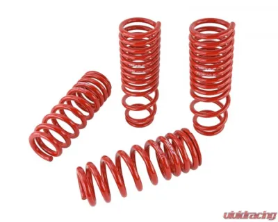 Skunk2 Lowering Springs - 519-05-1640