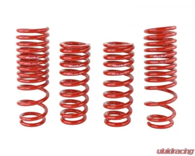 Skunk2 Lowering Springs - 519-05-1640