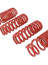 Skunk2 Lowering Springs                                     - 519-05-1640 - Image 3