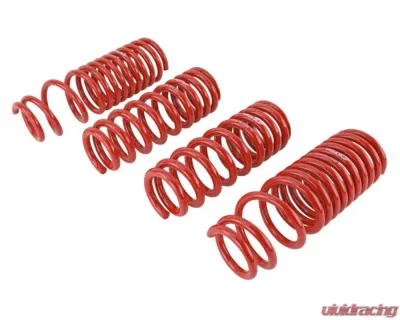 Skunk2 Lowering Springs - 519-05-1640