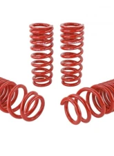 Skunk2 Lowering Springs                                     - 519-05-1640 - Image 4