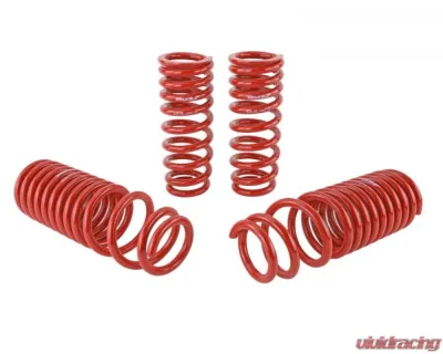 Skunk2 Lowering Springs - 519-05-1640