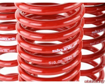 Skunk2 Lowering Springs - 519-05-1640
