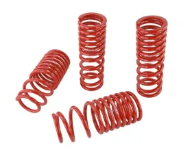 Skunk2 Lowering Springs