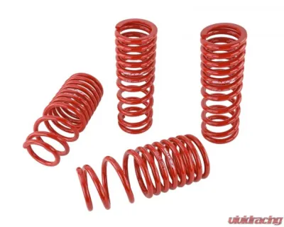 Skunk2 Lowering Springs - 519-05-1650