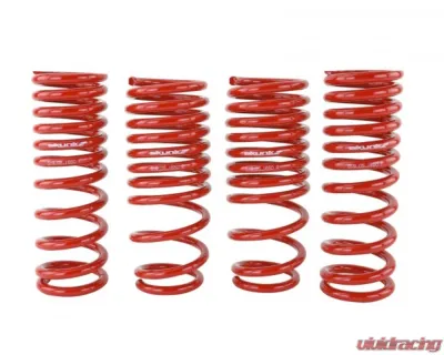 Skunk2 Lowering Springs - 519-05-1650