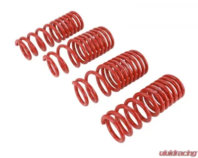 Skunk2 Lowering Springs - 519-05-1650
