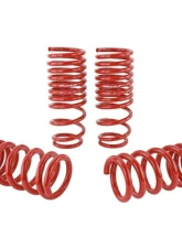 Skunk2 Lowering Springs                                     - 519-05-1650 - Image 4