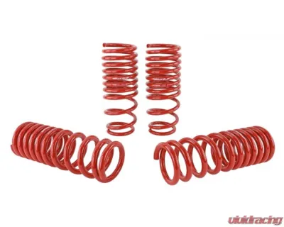 Skunk2 Lowering Springs - 519-05-1650