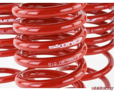 Skunk2 Lowering Springs - 519-05-1650