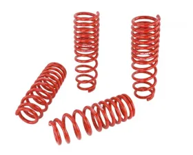 Skunk2 Lowering Springs