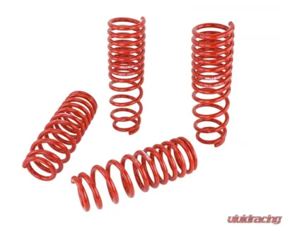 Skunk2 Lowering Springs - 519-05-1660