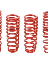 Skunk2 Lowering Springs                                     - 519-05-1660 - Image 2
