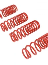 Skunk2 Lowering Springs                                     - 519-05-1660 - Image 3