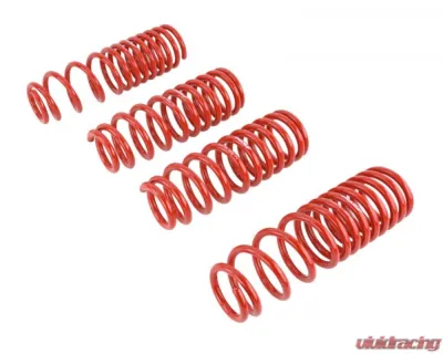 Skunk2 Lowering Springs - 519-05-1660