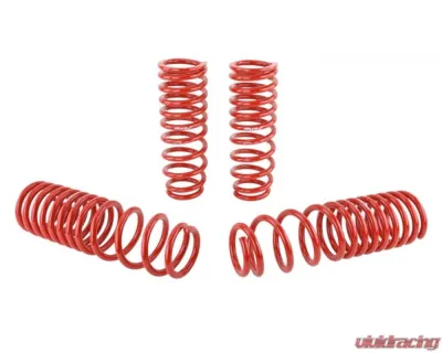 Skunk2 Lowering Springs - 519-05-1660