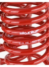 Skunk2 Lowering Springs                                     - 519-05-1660 - Image 5