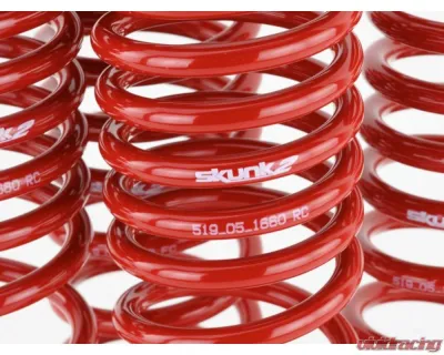 Skunk2 Lowering Springs - 519-05-1660