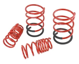 Skunk2 Lowering Springs