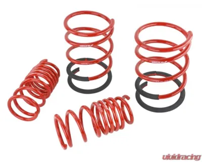 Skunk2 Lowering Springs - 519-05-1670