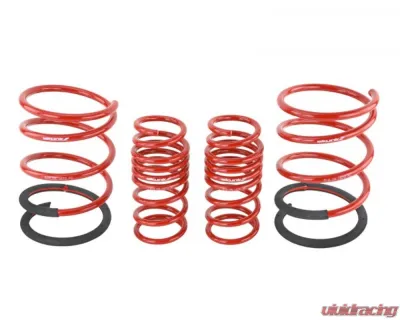 Skunk2 Lowering Springs - 519-05-1670