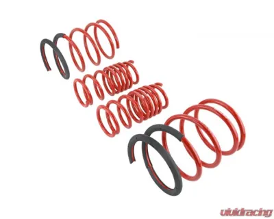 Skunk2 Lowering Springs - 519-05-1670