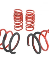 Skunk2 Lowering Springs                                     - 519-05-1670 - Image 4