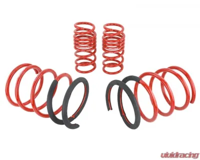 Skunk2 Lowering Springs - 519-05-1670