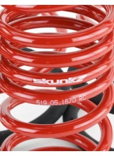 Skunk2 Lowering Springs                                     - 519-05-1670 - Image 5