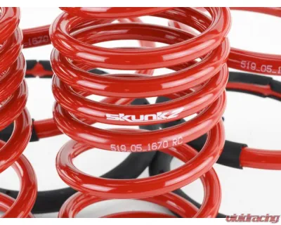 Skunk2 Lowering Springs - 519-05-1670