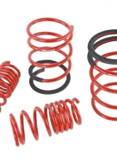 Skunk2 Lowering Springs                                     - 519-05-1672 - Image 6