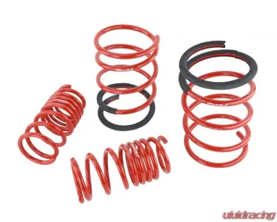 Skunk2 Lowering Springs - 519-05-1672