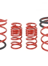 Skunk2 Lowering Springs                                     - 519-05-1672 - Image 2