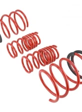 Skunk2 Lowering Springs                                     - 519-05-1672 - Image 3