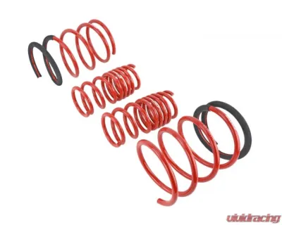 Skunk2 Lowering Springs - 519-05-1672