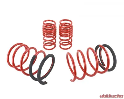 Skunk2 Lowering Springs - 519-05-1672