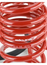 Skunk2 Lowering Springs                                     - 519-05-1672 - Image 5